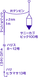 メダイ・尾長ダイ